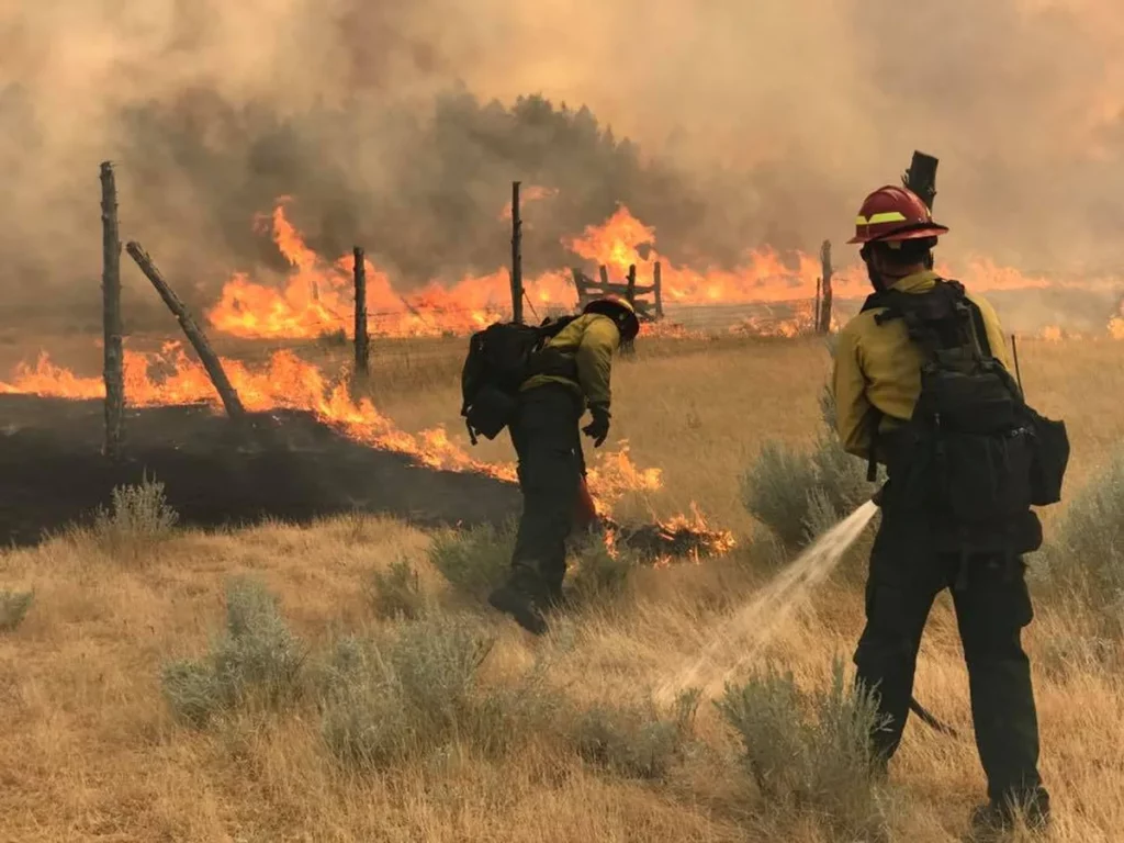 Certified burn manager conducting a prescribed fire with safety protocols in place