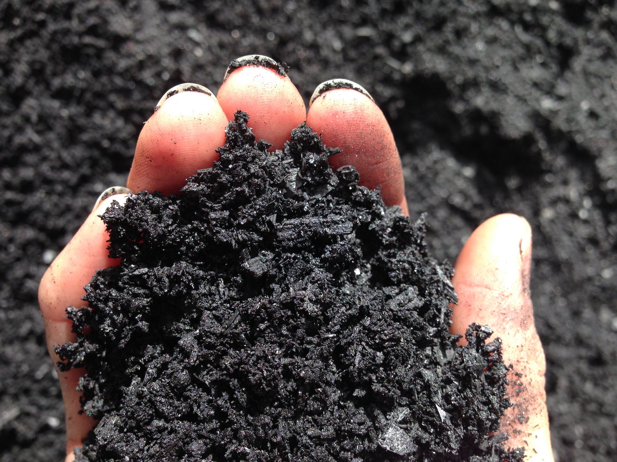 Biochar being mixed into healthy agricultural soil for improved fertility and carbon storage
