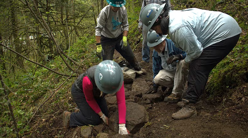 Group of volunteers performing trail maintenance and construction in a forested area with tools