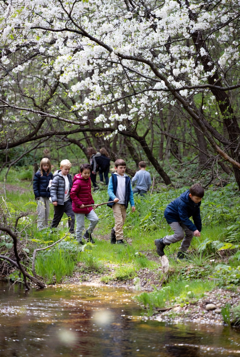 children exploring blooming forest during spring nature school program covered by NatureGuard insurance from Conservation United