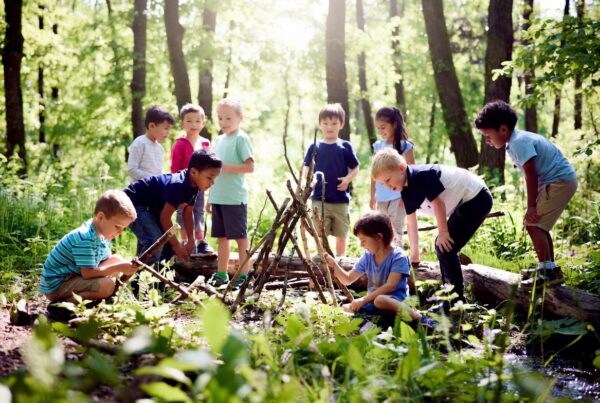 Children engaged in nature school activities in a forest, highlighting outdoor education