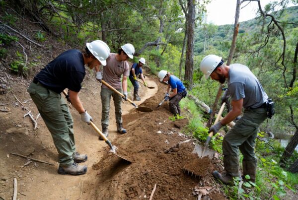 Group of trail maintainers using hand tools to reshape a dirt hiking trail on a forested hillside
